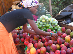 souls-of-my-shoes:  Ugandan Market (by Bariom43) 