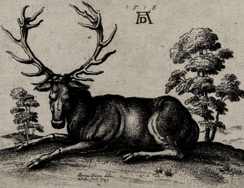 transylvanianmisanthropy:  ©Albrecht Dürer