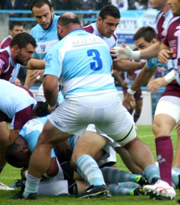 superbears:  SO HOT BURLY GUYS