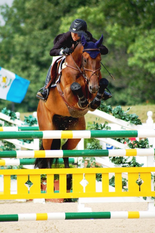 nsphotographs: FEI Junior and Young Rider Championships 2012.