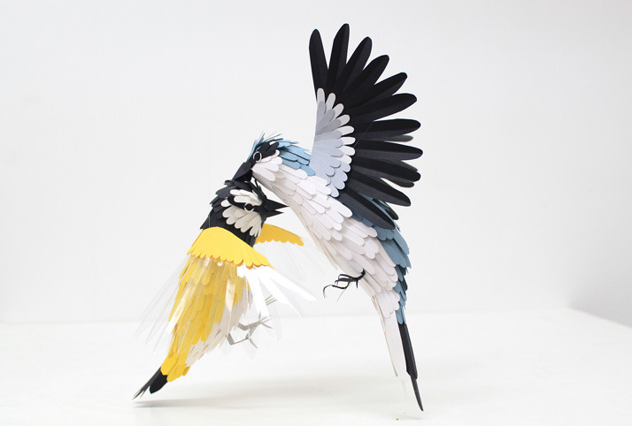 unknowneditors:  Incredible Paper Birds by Diana Beltran Herrera. A brilliant display