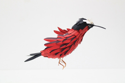 Porn photo unknowneditors:  Incredible Paper Birds by
