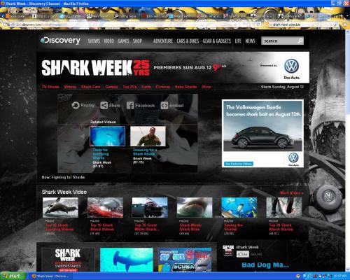 my desktop view for the day! I love sharks! porn pictures