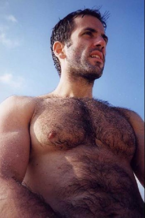 http://sambrcln.tumblr.com/archive Great hairy men blog