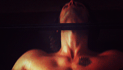 archive-ragingcanadian-deactiva:  winchester workout routine 
