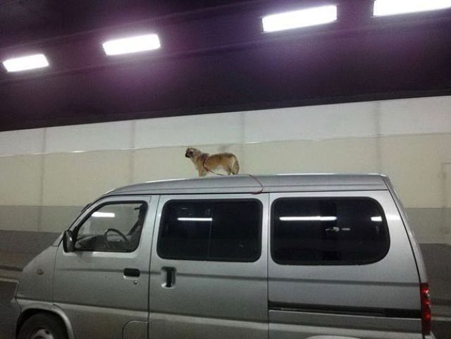   and in that moment i swear we were infinite  