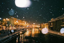 insignificant