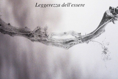 copihueart:  visual poetry “l’intimo" 