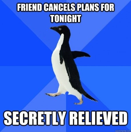 meme-spot:  Socially Awkward Penguin The place where your favorite memes hang out,