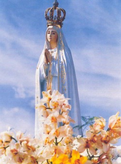 allaboutmary: Our Lady of Fatima in procession, Portugal.