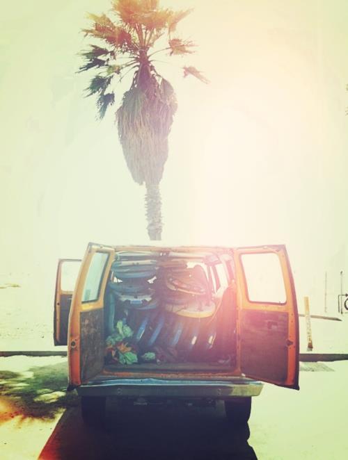 live while we're young