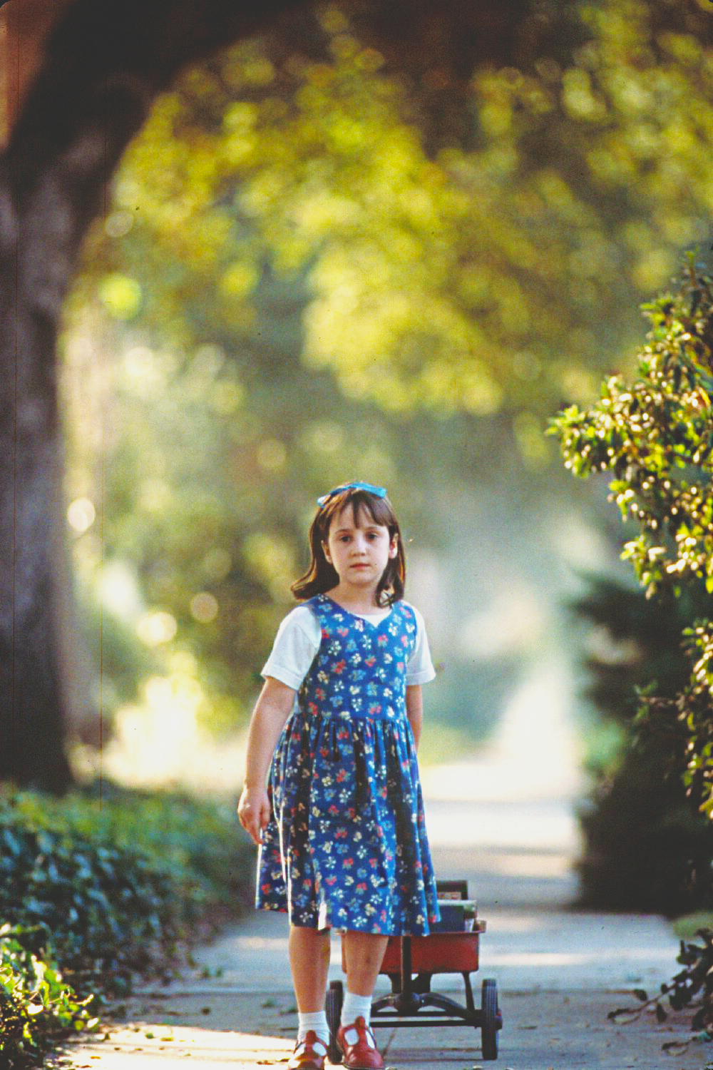 kiss-my-aspergers:   foxstitches:  serasquatch:  berserkasfuckk:  Matilda  I was