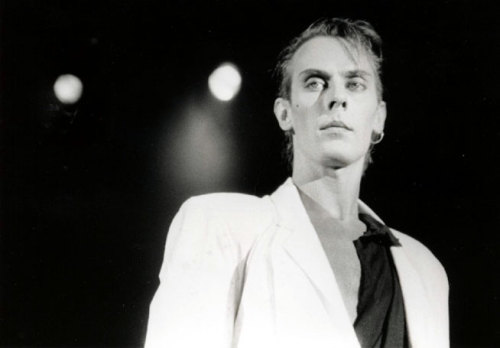 Peter Murphy