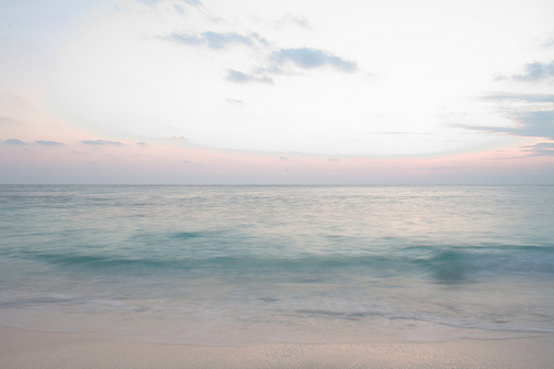 mind-wonderful:  c—onverse:  souloftheocean:  the-oasis:  wow  my exact reaction ^  The Carefree Life  