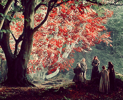 rubyredwisp:  game of thrones meme: six locations [3/6] → winterfell 