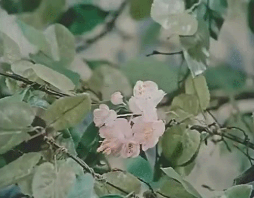 BE REBORN