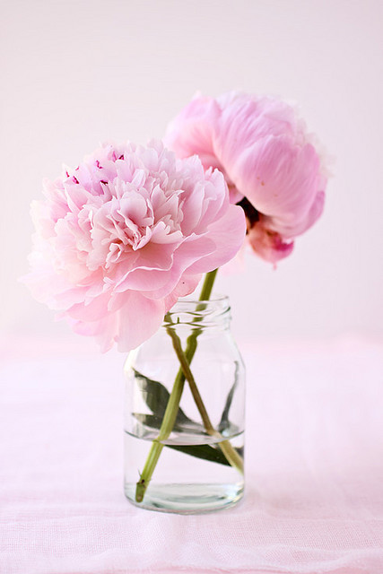 Guaranteed to be the most beautiful blog you’ve ever seen.