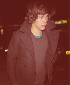 thorland-deactivated20120921:  Harry last night  