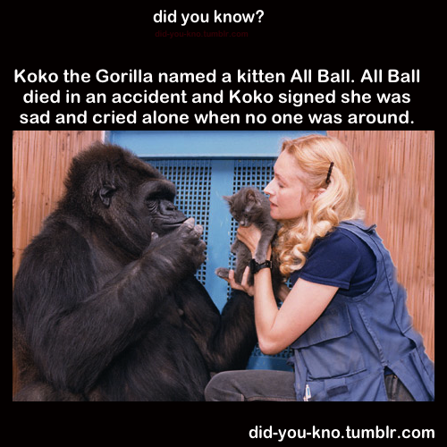 did-you-kno:  Source