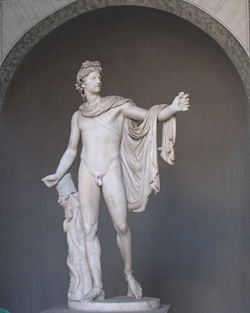 Apollo Belvedere (circa 330 BC) (Photograph by Buster&Bubby)