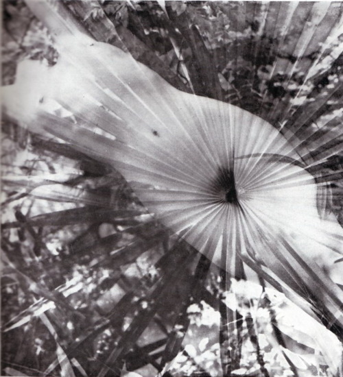 thedarksideofthe-moon:Roger van Hecke - Le Zéphyr, 1957