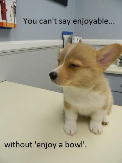 So true little Corgie :)