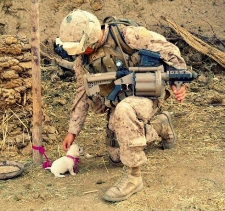 Awwww