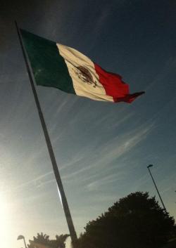 Mexican pride (salute)