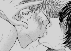 Yaoi Forever and Ever
