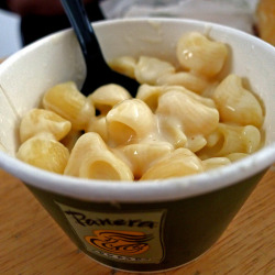 Macaroni and Cheese