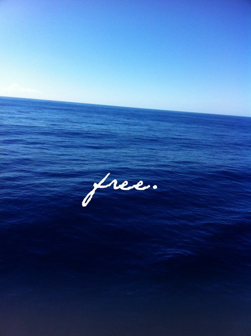 aquaticwonder:  Free