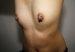 dododieratte:  bodypiercings: Name:Age: 20City: Adelaide, AustraliaPiercings Shown: 14g diagonal nipple piercingsPiercings Not Shown: 10g septumRetired Piercings: Eyebrow Submitted by Anonymous (Please remove my tumblr link/name)  ADELAIDE