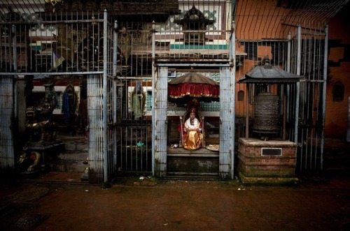 harvestheart: The Living Goddess Nepal’s Kumari (living goddess) Samita Bajracharya, aged 10, sits o