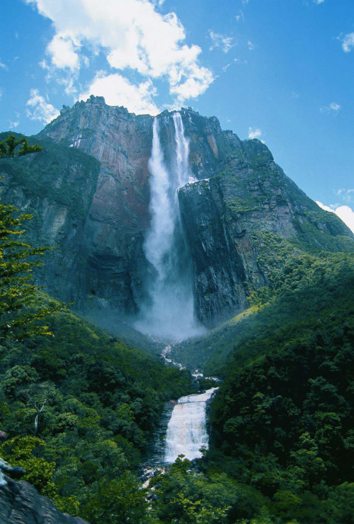  Angel Falls In Canaima National Park ?   http://i.imgur.com/V7V6i.jpg