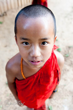 souls-of-my-shoes:  Little monk in Myanmar (by pepifleuf) 