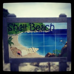 shellbeach (Pris avec Instagram)