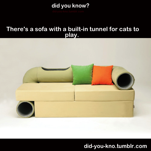 did-you-kno:  Source
