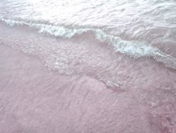 sugarsn0w:       ♡ Pale, Pretty, and Pastel! I follow back similar! ♡      