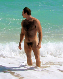 HAIRY BEARS AND SEXY MEN