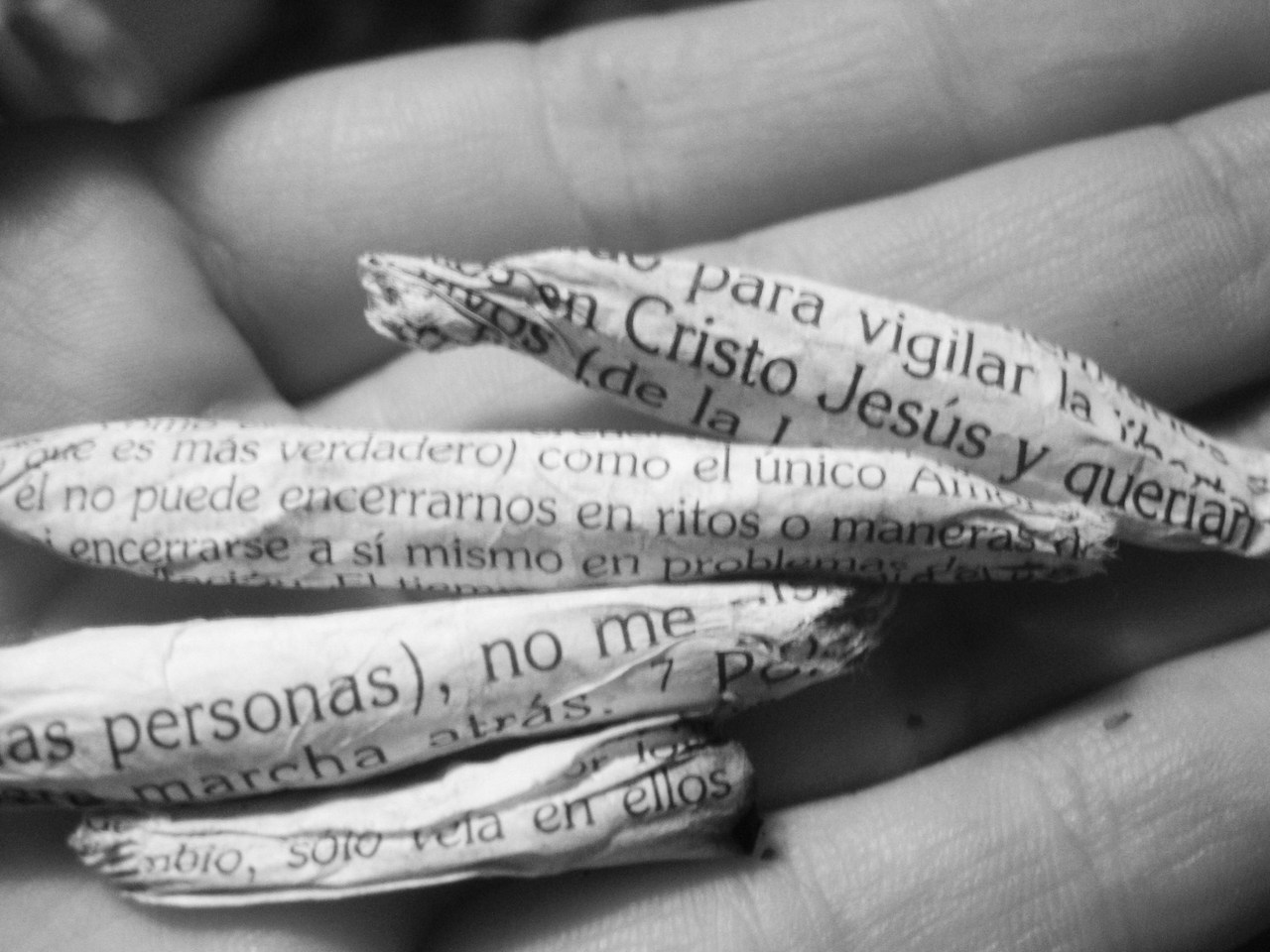 eyesxclosed:  Hojitas de biblia… la forma más rápida de llegar al cielo, no ?