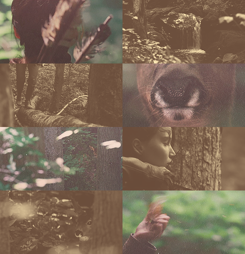 acciothehungergames:  the woods became our savior. 