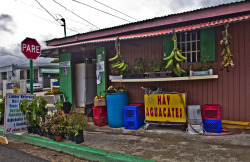 tamaramaz:  Aibonito, Puerto RicoUna tienda