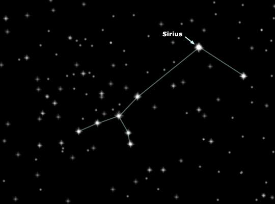 Constellation Canis Major (Big Dog) and Sirius, the Dog Star