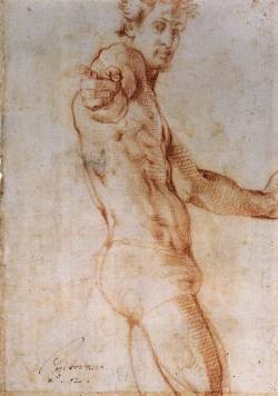 mirrormoves:  Pontormo (Jacopo Carucci):