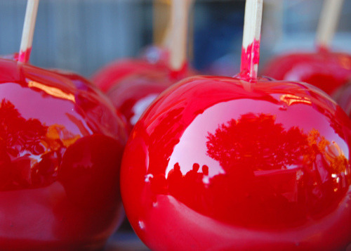 Let's Fall In Love with Autumn!