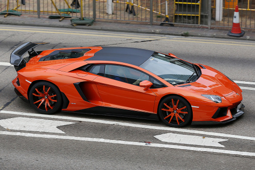 automotivated:  DMC - Molto Veloce, Lamborghini, adult photos