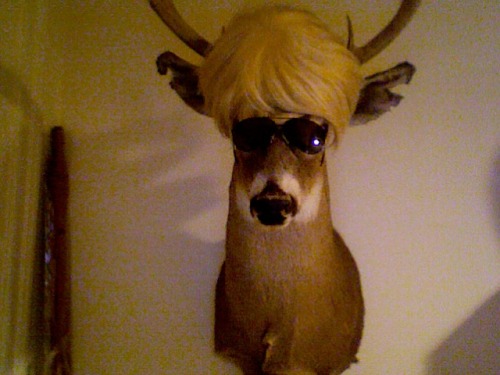 dapper-dueller:boondollars:look its deer strideredit: omg omg dave strideerTONI