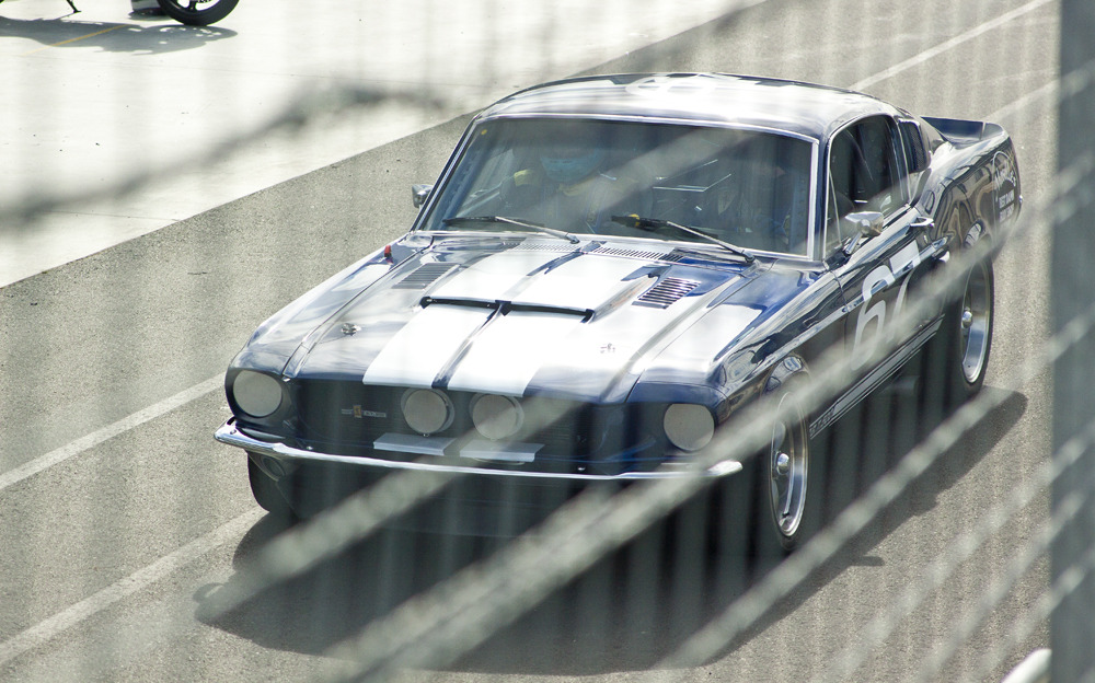 Ford Mustangs
