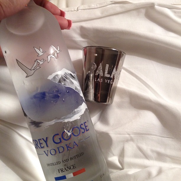  ya cant go wrong w/ a bottle of grey goose 8)
