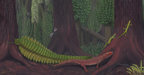 paleoillustration:
“ “Joggins - Life in the Carboniferous” by Brian Choo
“A representation of the fauna of Canada’s World Heritage Joggins Fossil Cliffs. The temnospondyl Dendrerpeton chases a pair of early reptiles (Hylonomus) up a lycopod tree. The...